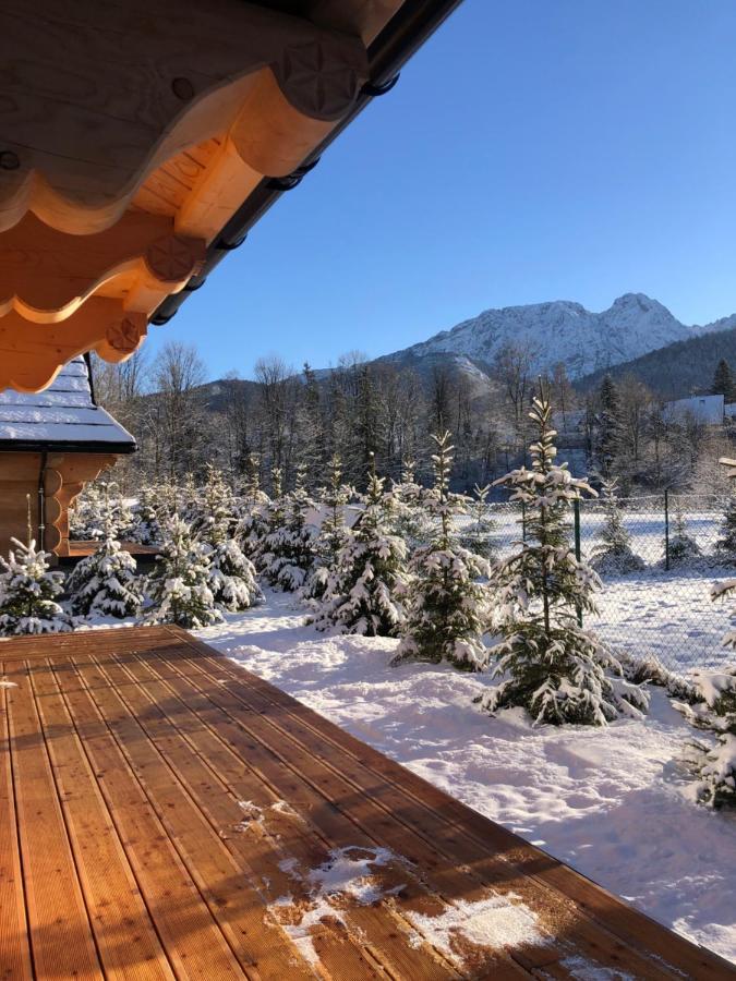 Sniezna Dolina - Sobiczkowa Bor Luxury Chalets Kościelisko Exteriér fotografie